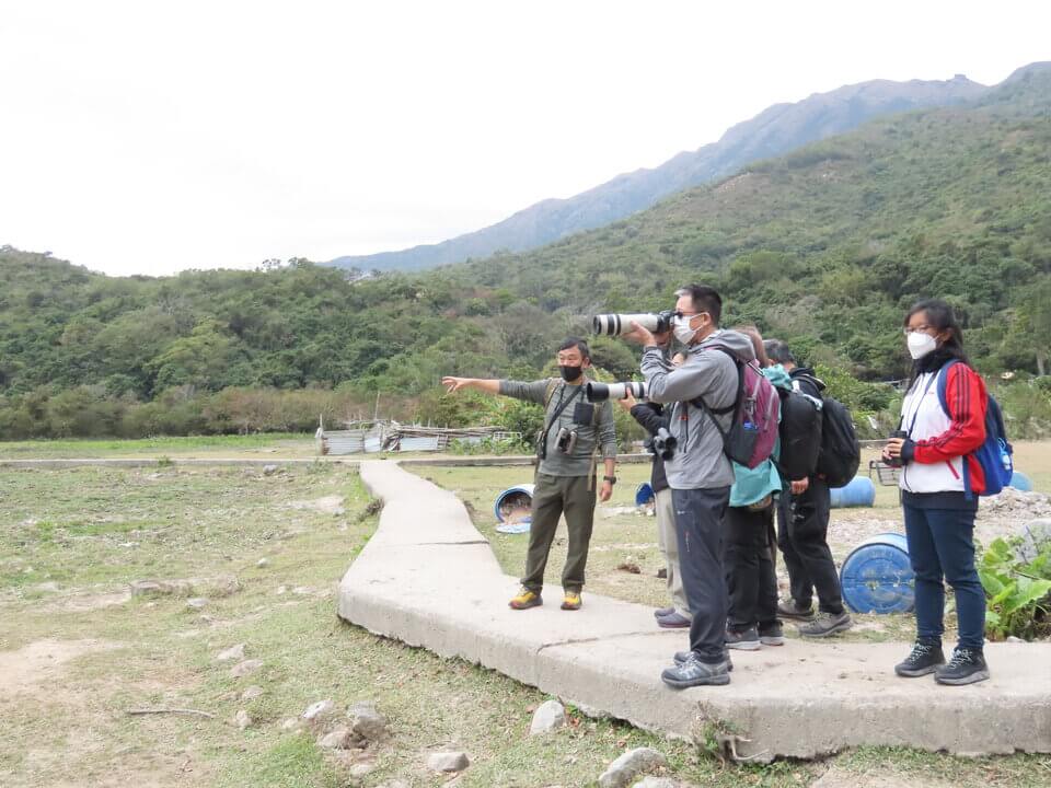 戶外蜻蜓生態研習