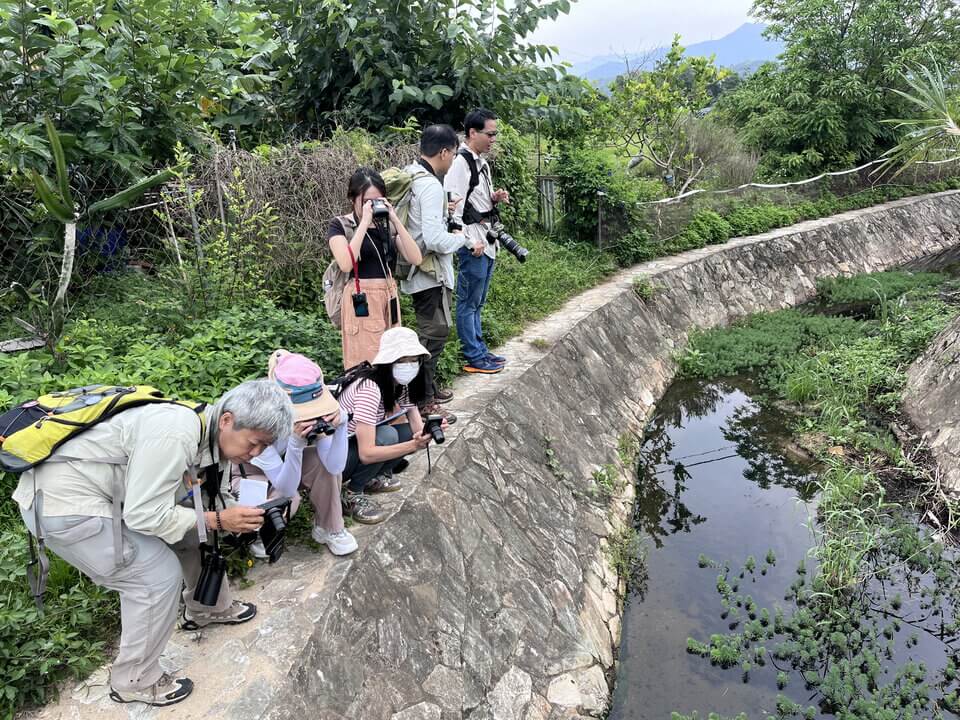 自組路線記錄不同的蜻蜓物種，發掘更多觀蜻的樂趣。